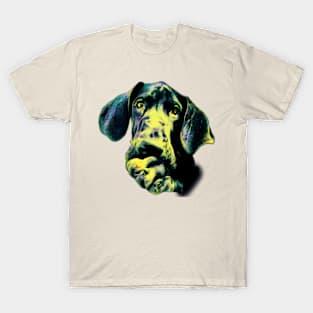 Great dane sticker T-Shirt